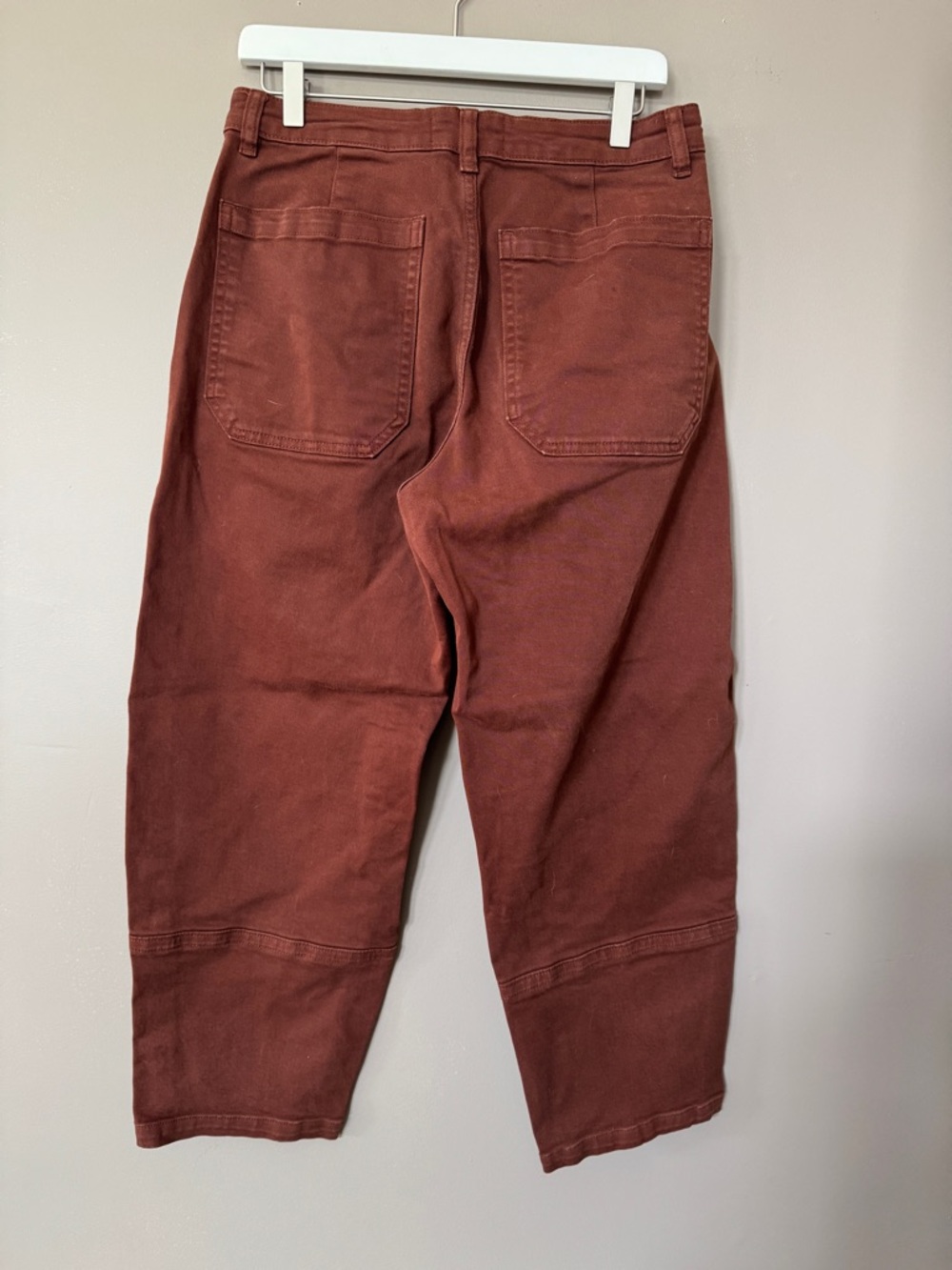 Everlane Rust Cotton Utility Barrel Pant - Picture 2 of 4